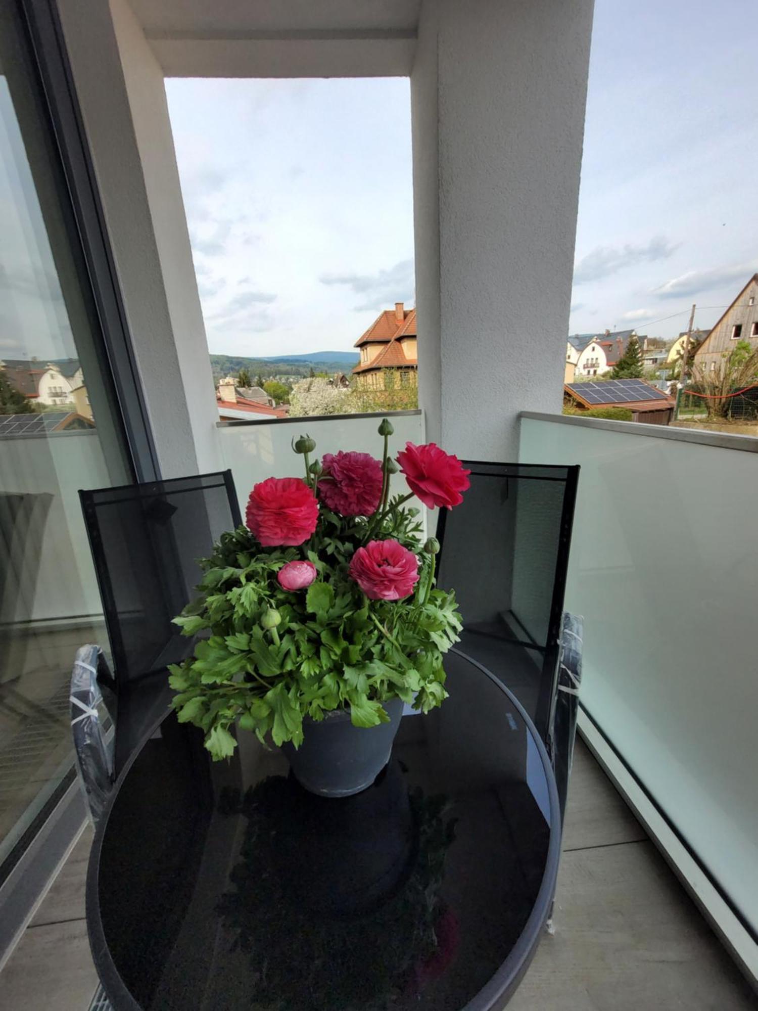 Apartman Bohemika Deluxe Vrchlabí Exteriör bild